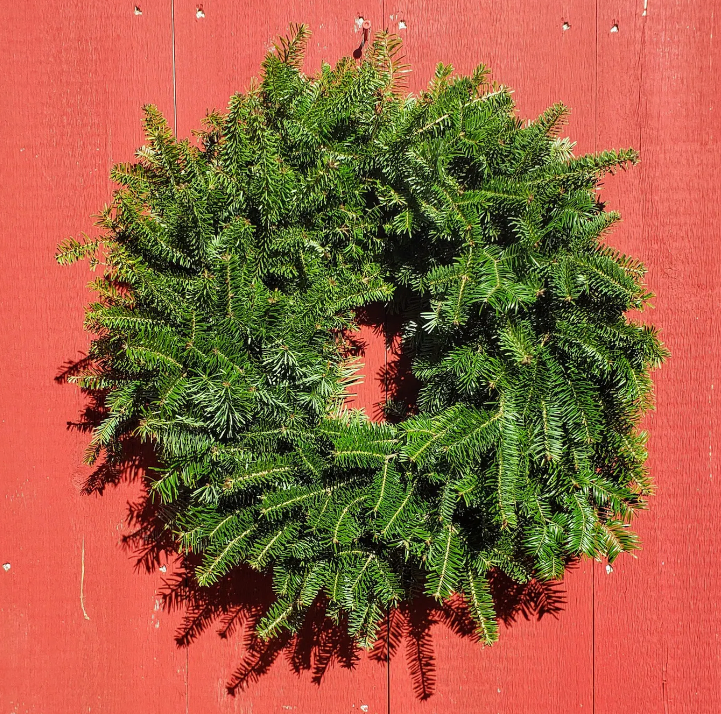 November 29th Live Wreath Class