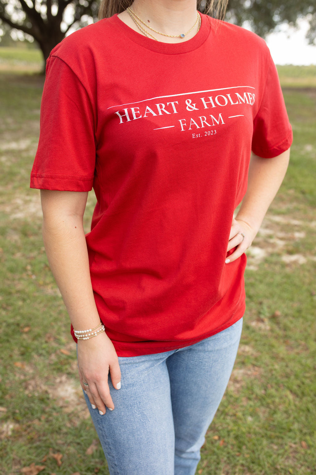 Red Heart & Holmes t-shirt